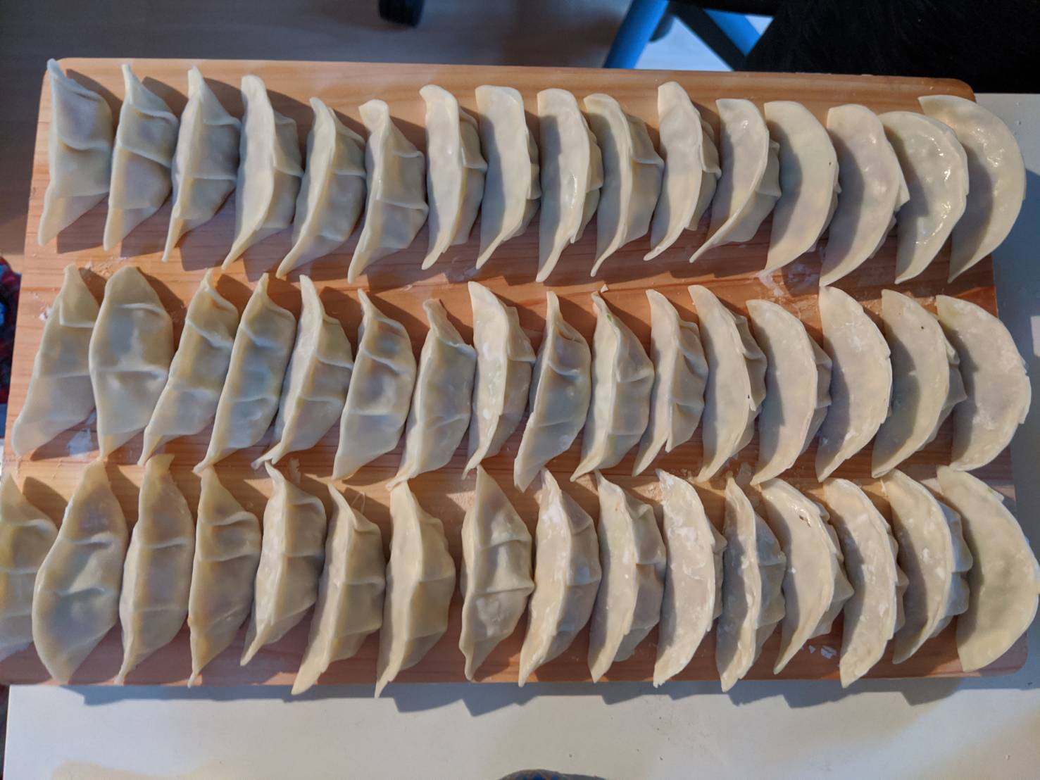 Gyoza Image